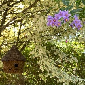 Meet your Posher, Elliot